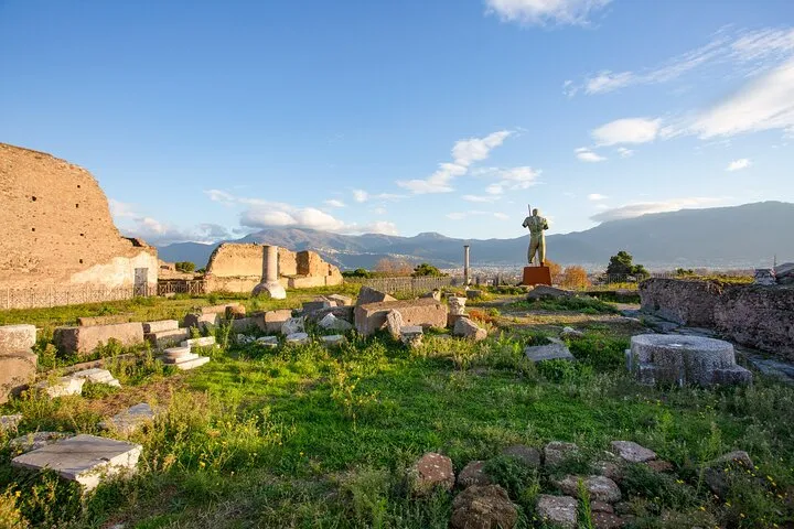Pompeii from Rome: Coach Roundtrip and Entrance