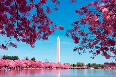 DC in a Day: 10+ Monuments, Boat Cruise, National Mall, Tickets