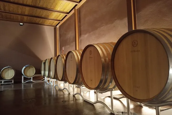 Volterra wines, sensory emotions of organic farming