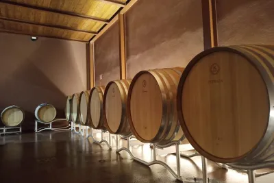 Volterra wines, sensory emotions of organic farming