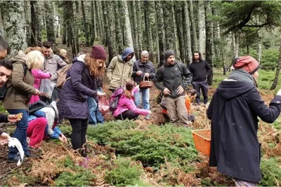 Truffle Hunting Day Tour From Athens With Sea Side Meal Stop