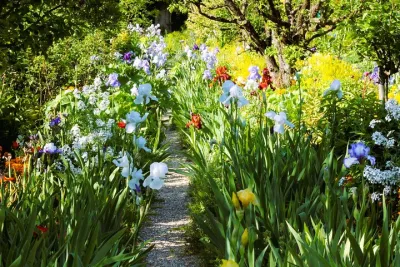 Giverny Claude Monet House & Gardens 5 hour tour from/to Paris