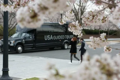 The DC Cherry Blossom Bus Tour with Tidal Basin Guided Walk