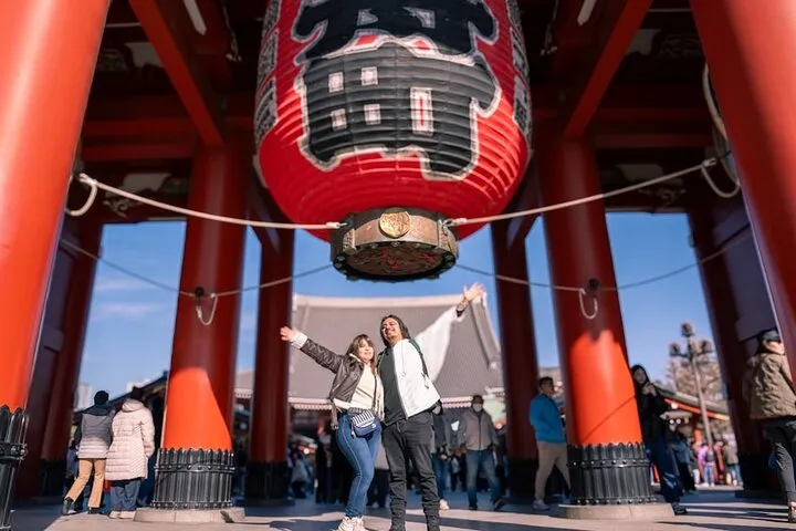 PERFECT 1 Day Tokyo Highlights Tour with a Private Car
