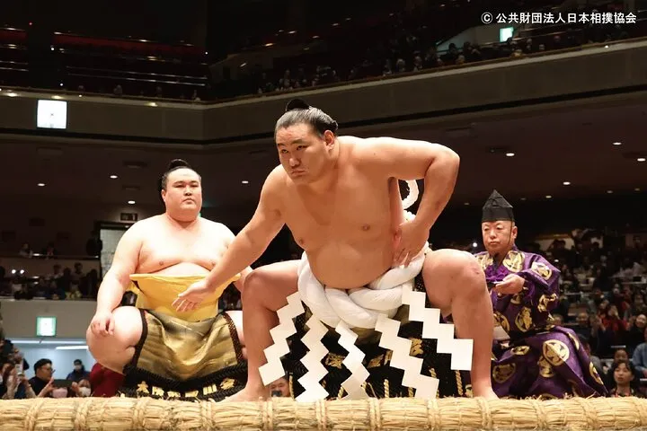 Tokyo Grand Sumo Tournament Viewing Tour