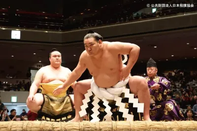 Tokyo Grand Sumo Tournament Viewing Tour