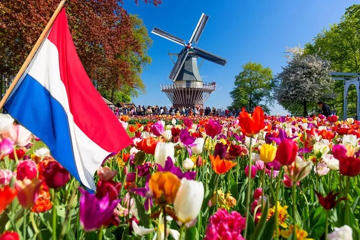 Private Keukenhof Tulip Fields and Bulb Area from Amsterdam