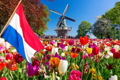 Private Keukenhof Tulip Fields and Bulb Area from Amsterdam