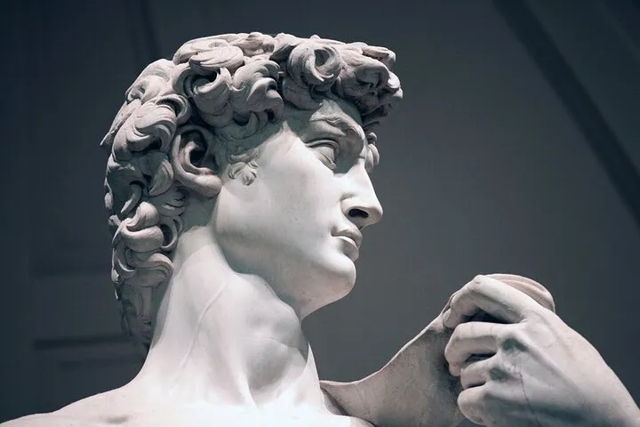 David & Academia Gallery Skip-Line Live Guided Tour Experience