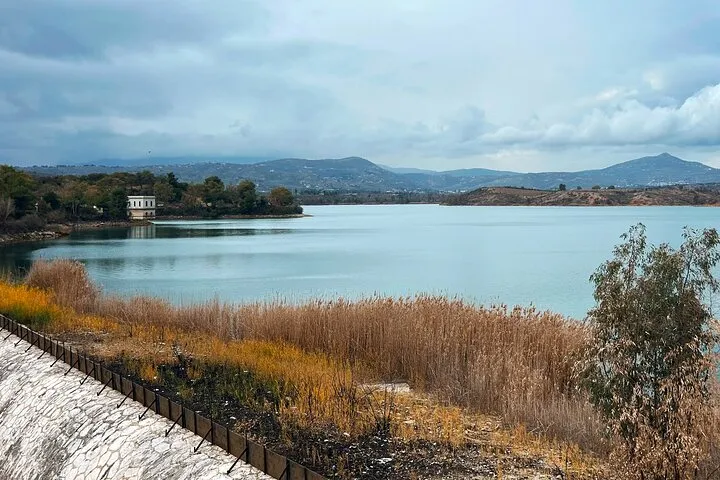 Athens Marathon and Shinias Beach with Swim