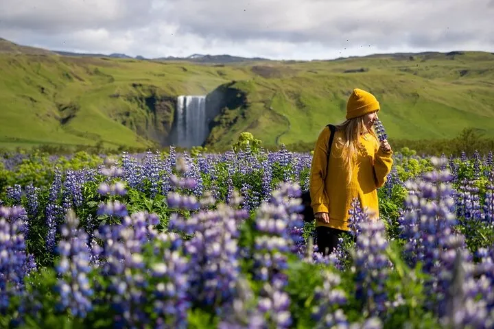 7-Day Small Group Journey Around Iceland
