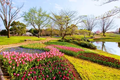 Tokyo Day Trip Showa Kinen Park Seasonal Flowers and Nature Walk