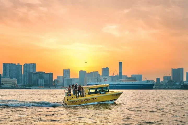 Tokyo: Sunset Boat Cruise with a Local Guide on Private Boat