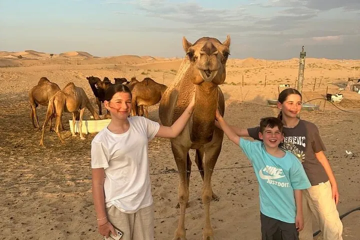 All in One Dubai Abu Dhabi Tour & Evening Desert Safari