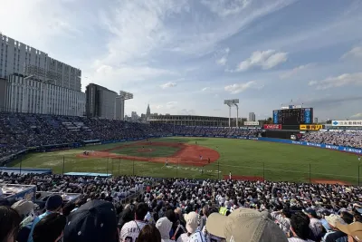 Catch a Baseball Game in Tokyo with a Local - Tickets Included