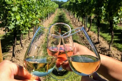 Rome Countryside Wine Tasting Tour with Private Driver and Guide