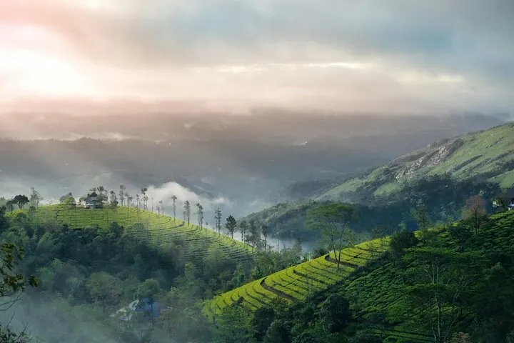 4 Days Private Kerala Tour -Kochi, Munnar, Thekkady with 3* Hotel