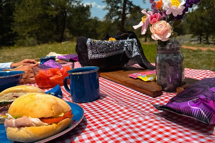 Llama Lunch in the Rocky Mountains