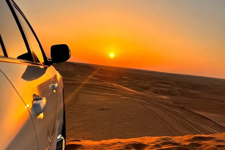 Sunrise Desert Safari with Wildlife Experience in Dubai
