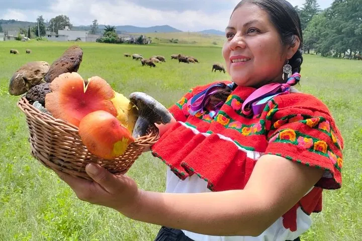 Mushroom Tour: Enjoy Food, Mushrooms and Beverages in Mexico