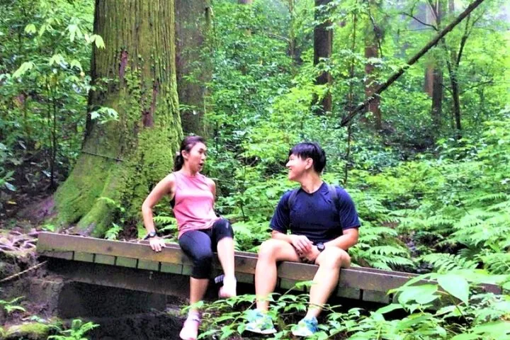 Live Like a Local: Mt. Takao Hike, Shrine Tour, Onsen & Feast