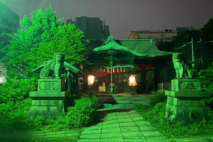 Shadows of Edo: Yoshiwara Courtesan District & Asakusa Backstreet