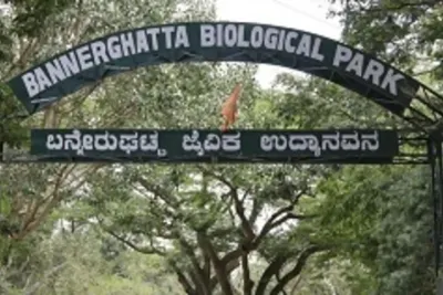 From Bangalore: Bannerghatta Park & City Sights Private Tour