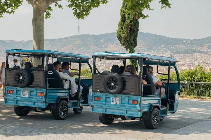 Barcelona Panoramic Private Tuk Tuk Tour