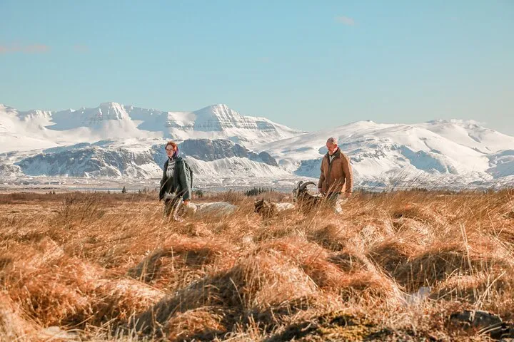 Goat Walk