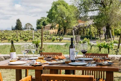 From Barcelona: Torres Winery Tour with wine tasting & tapas