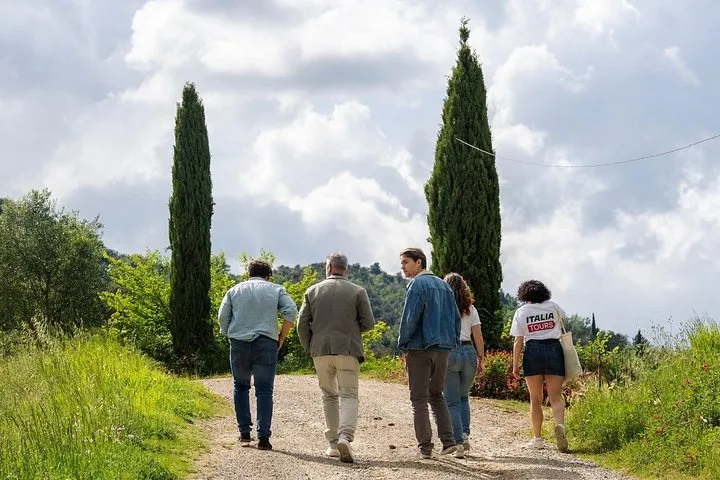 San Gimignano & Tuscan Wine Tasting from Florence