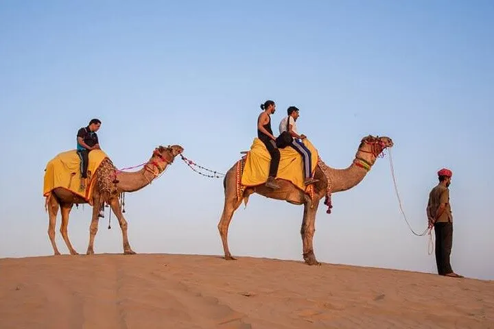 Jodhpur : Jeep Safari, Camel Ride,Buffet Dinner & Folk Dance