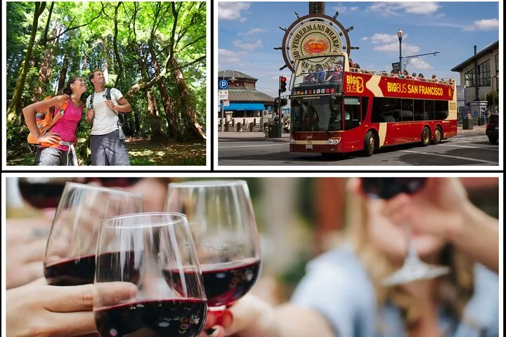 SF: Wine Country Tour, Armstrong Redwoods, & Hop-on Hop-off Tour