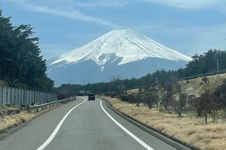 Mount Fuji Sights -Sake Tasting -Tatoo OK Onsen w/ a local Guide
