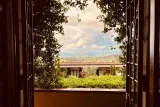 Francy's Pasta & Gnocchi on Top of Florence Hills
