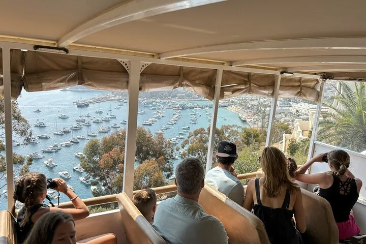 Catalina Island City and Scenic Mount Ada Tour