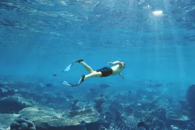 Cancun: Snorkeling Adventure at Puerto Morelos Reef