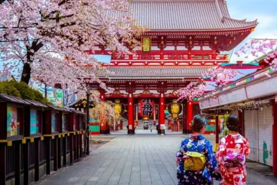 9 Day Best of Japan Cherry Blossom Small Group Tour 2026