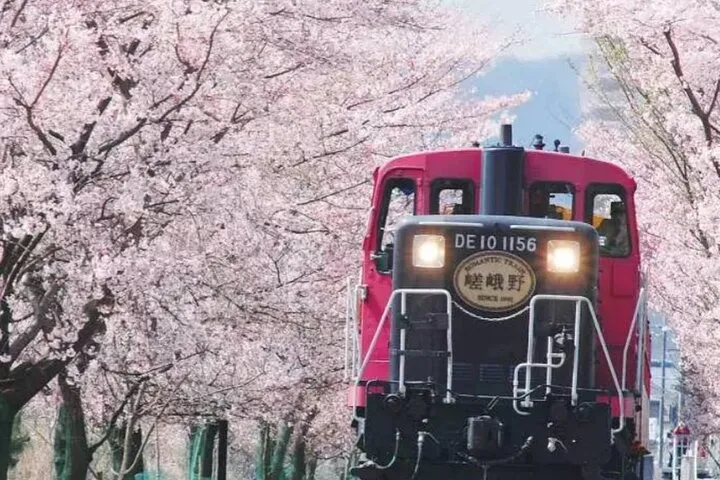 Explore Japan in 7 Days Cherry Blossom Tour 2026