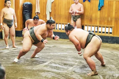 Tokyo: Sumo Morning Practice Viewing Tour at a Real Stable