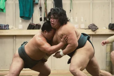 Tokyo Sumo Morning Training