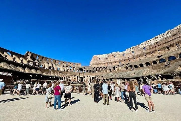 Express Colosseum Guided Tour: 1 Hour Fast Track Experience