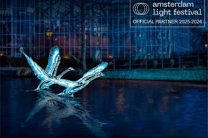 Amsterdam Light Festival Canal Cruise with Captain Guide & Drinks