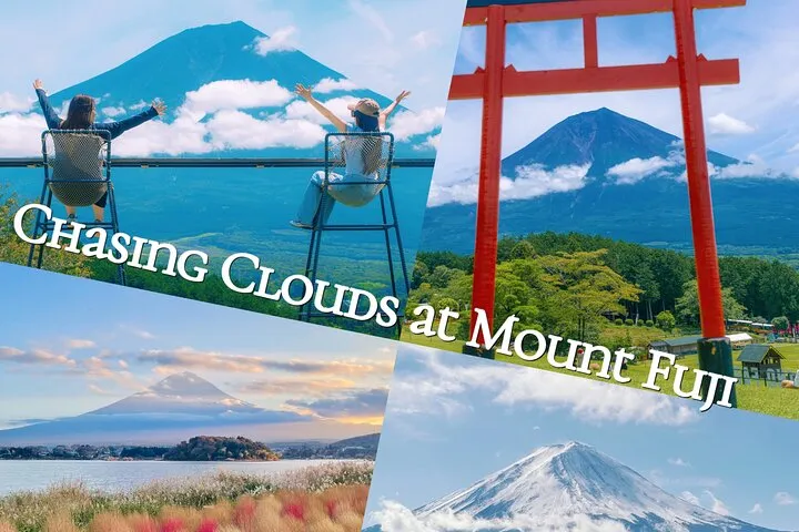 From Tokyo Mt.Fuji, Lake Kawaguchi, Makaino Farm day tour