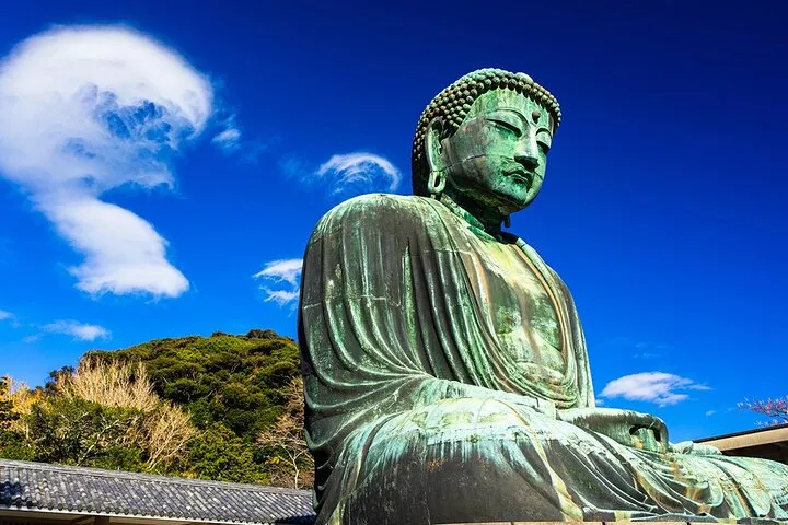 Kamakura Great Buddha, Temple, Shrine Private Day Tour from Tokyo