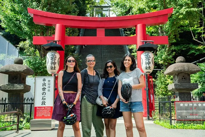 Tokyo Tower Area 3h Guided E-Bike Tour