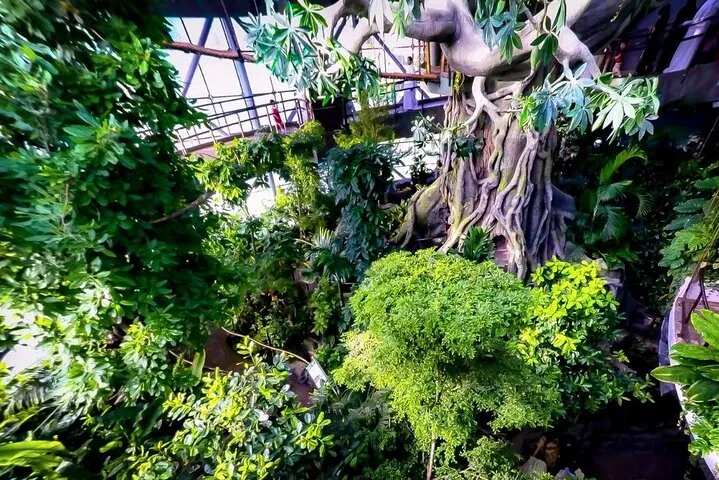 Green Planet Dubai – The Indoor Rainforest & Wildlife Dome