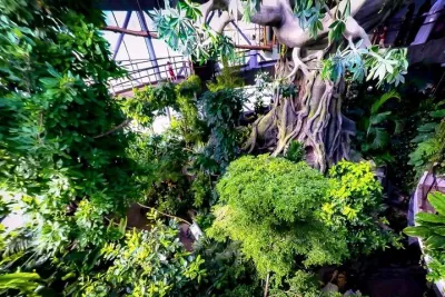 Green Planet Dubai – The Indoor Rainforest & Wildlife Dome