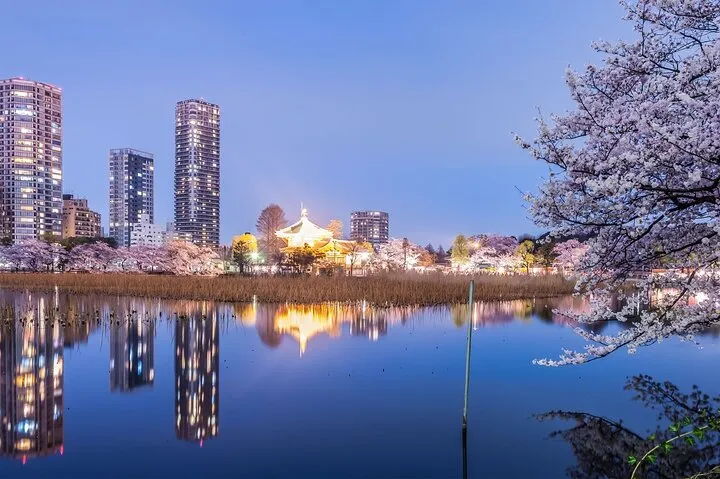 Tokyo Ueno Food & Nature & Localtown Tour: 10Dishes+ Drinks