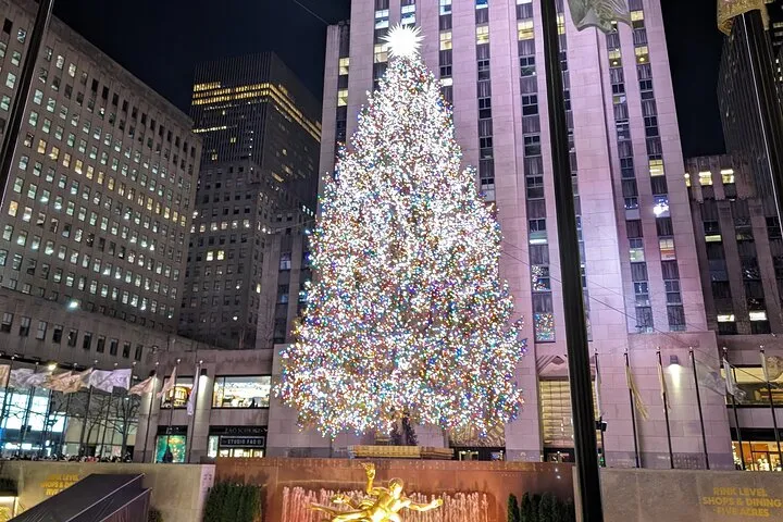 New York City Holiday Lights Tour